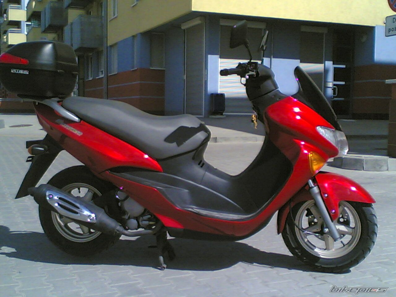 Photo 1949465