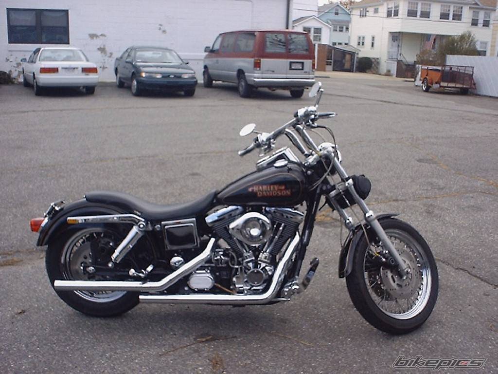 Photo 19495