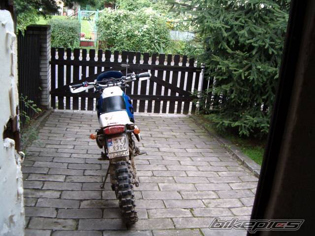 Photo 194970