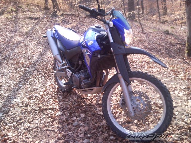 Bike Photo 1949925