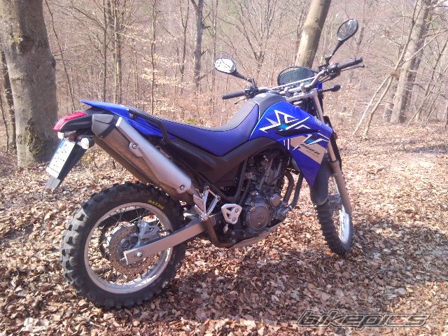 Bike Photo 1949928