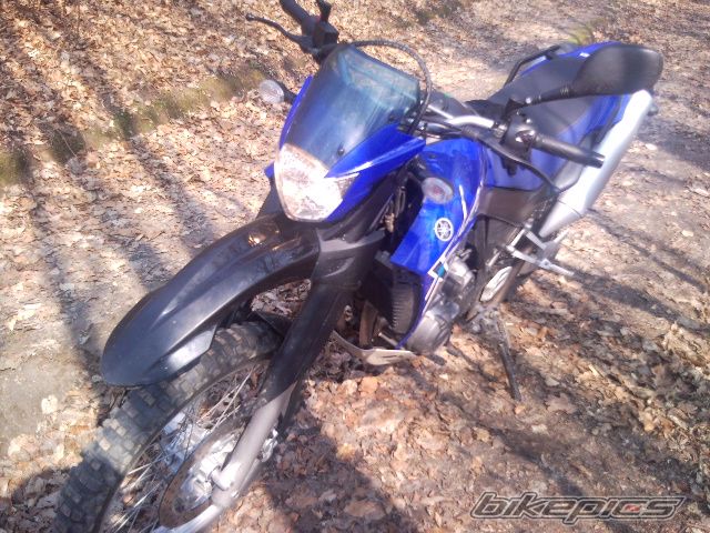 Bike Photo 1949938