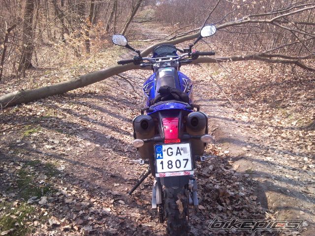 Bike Photo 1949941