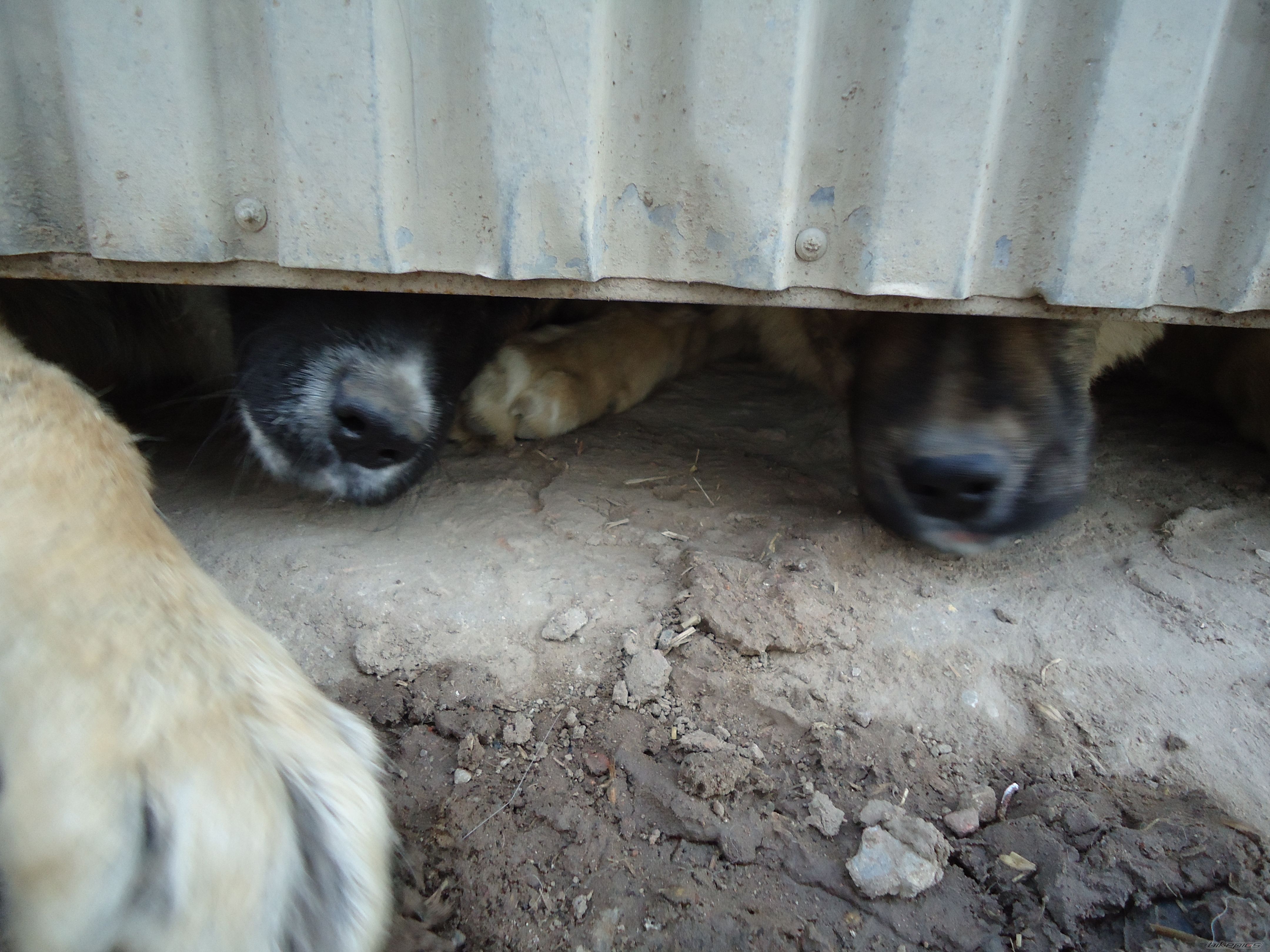 Photo 1949956