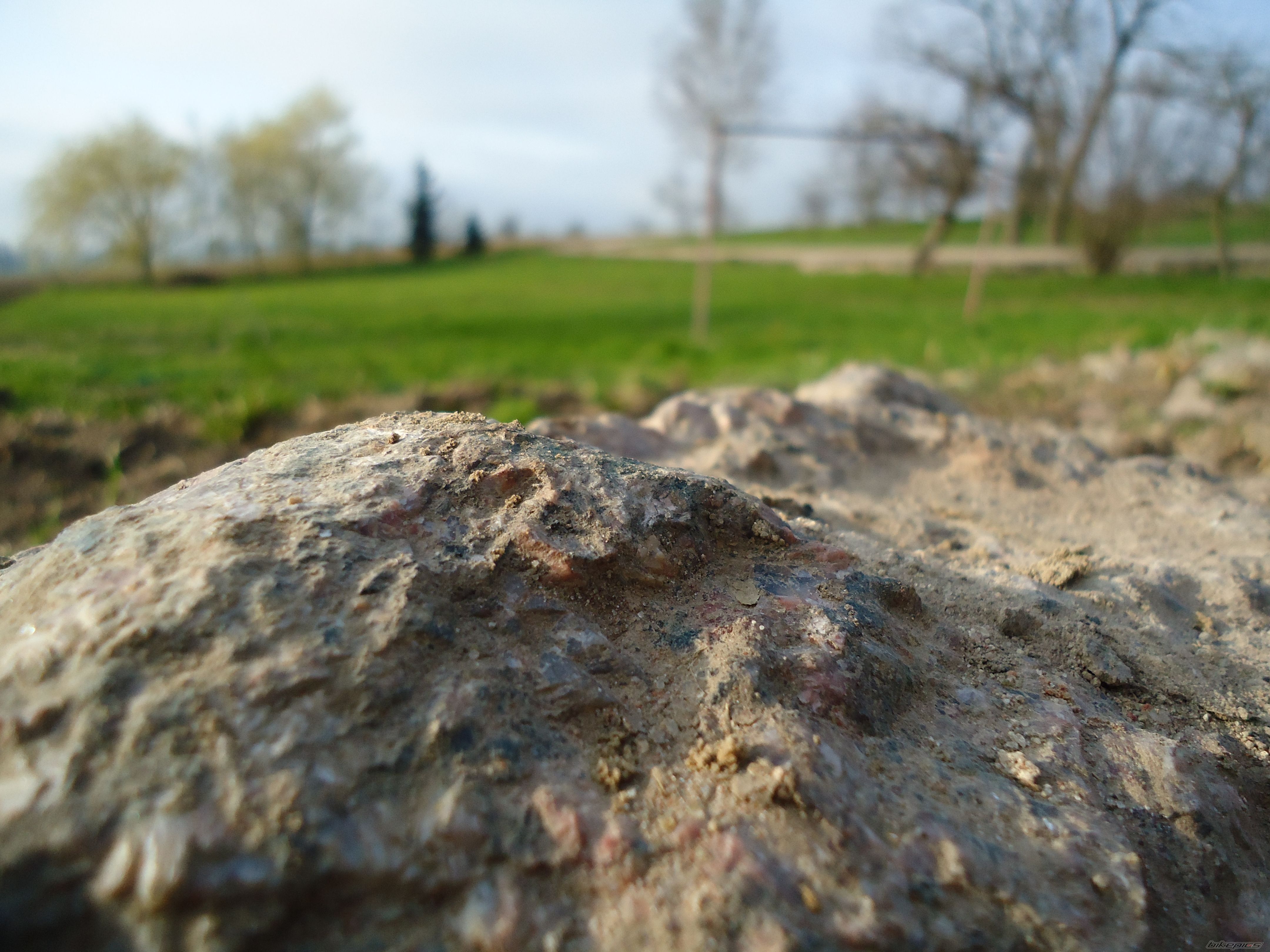 Photo 1949963