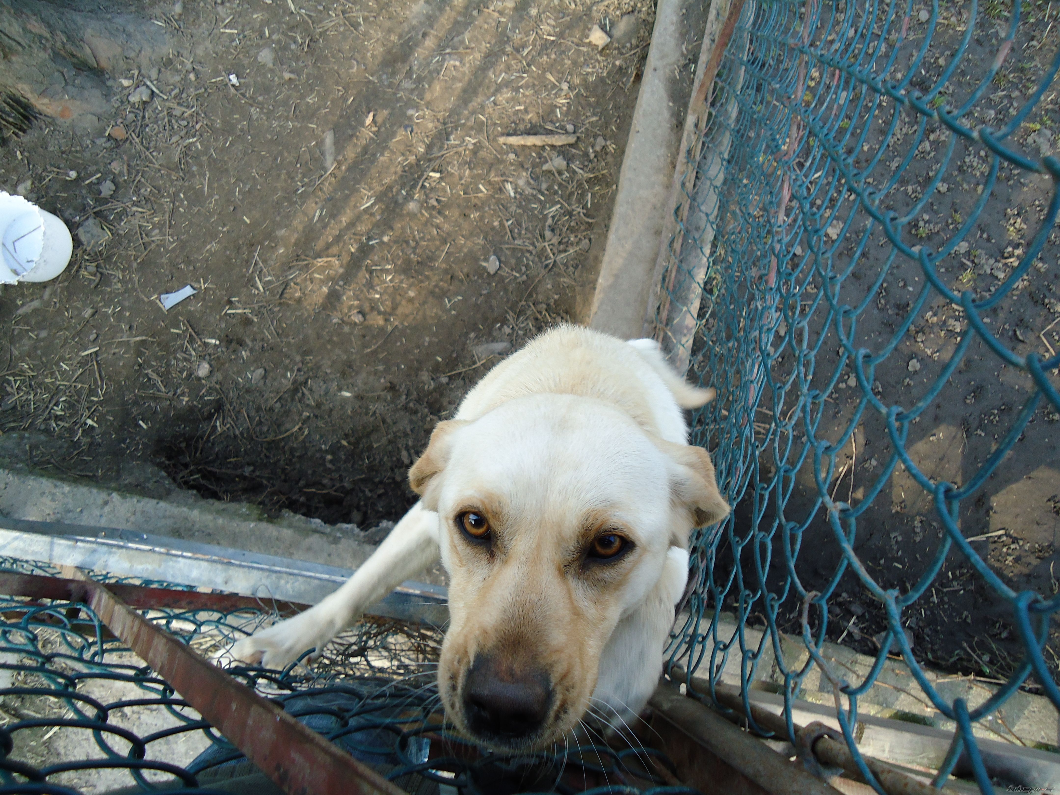 Photo 1949971