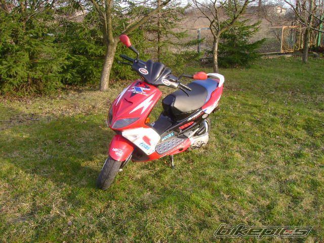 Photo 1950017