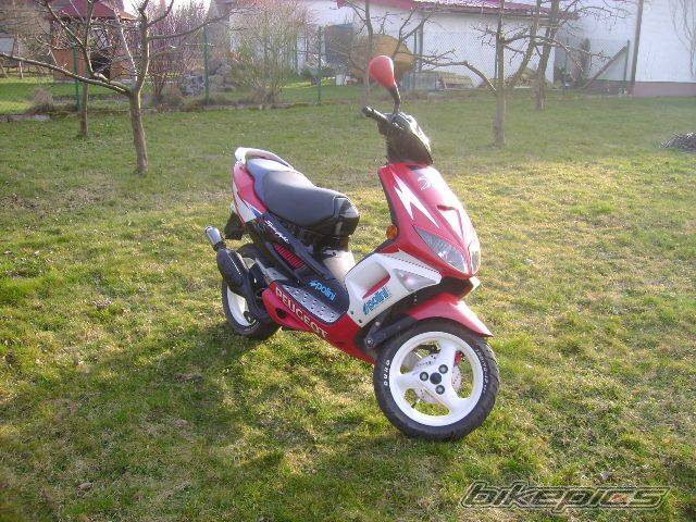 Photo 1950020