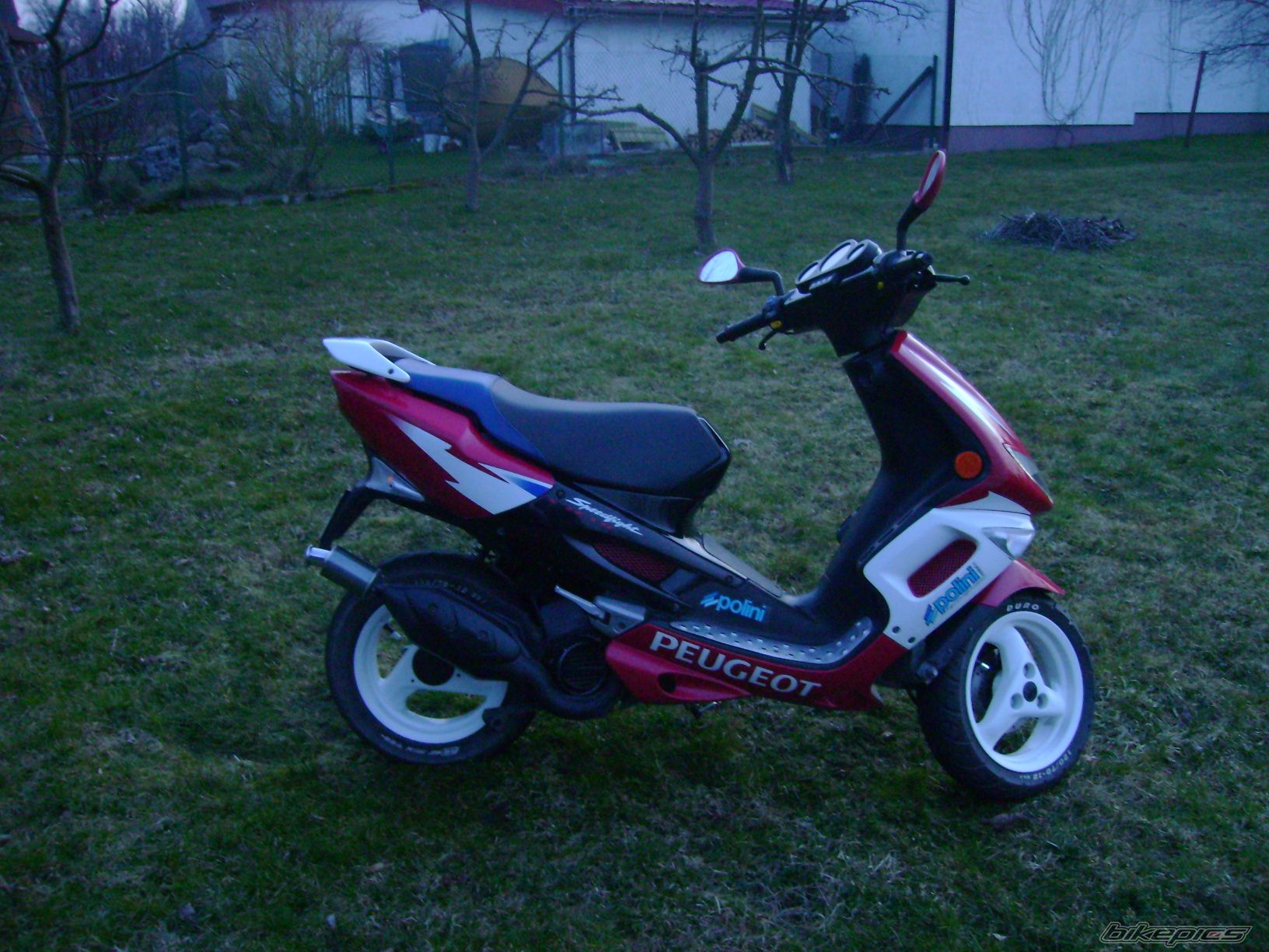 Photo 1950025