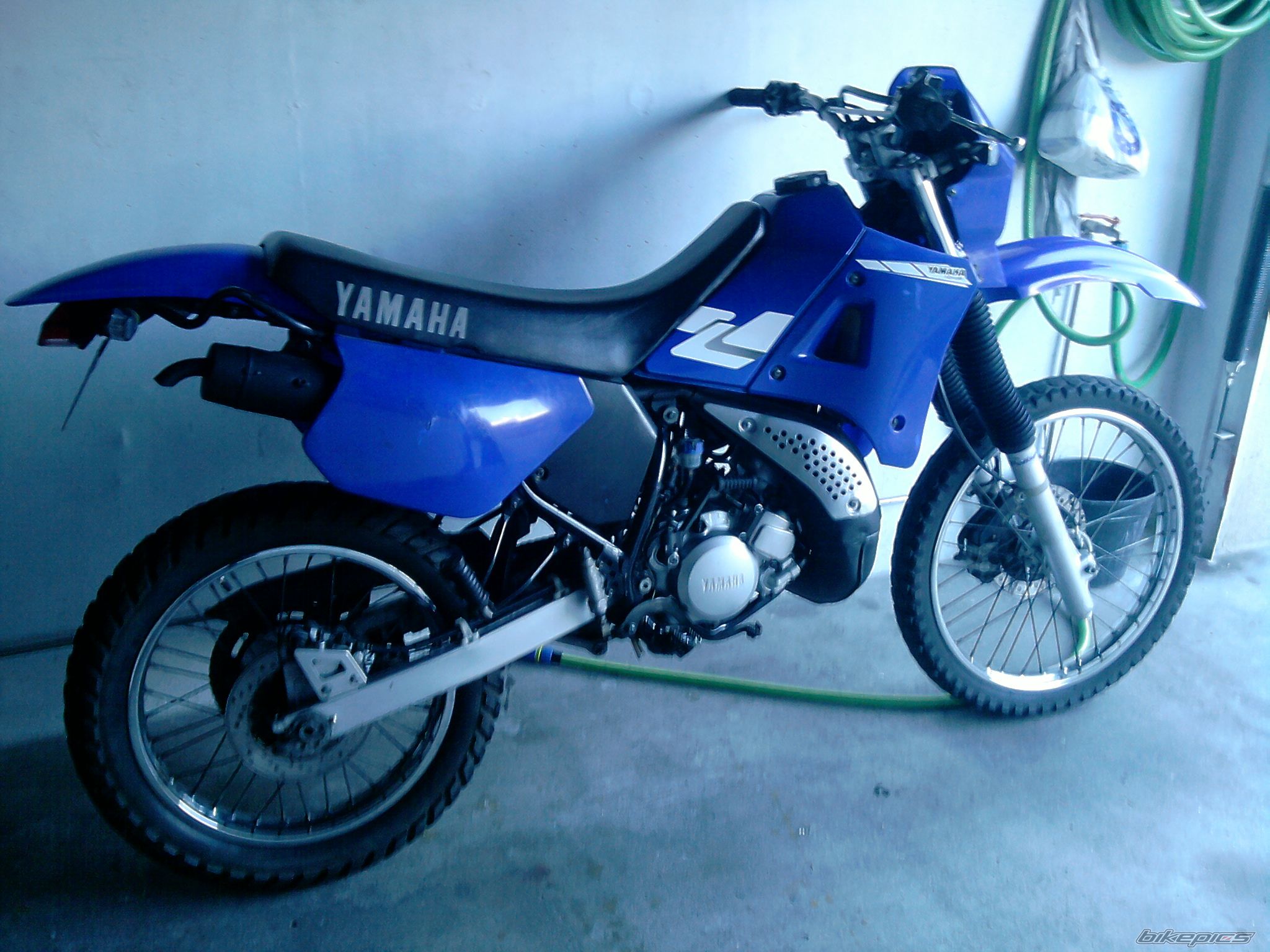 Photo 1950041