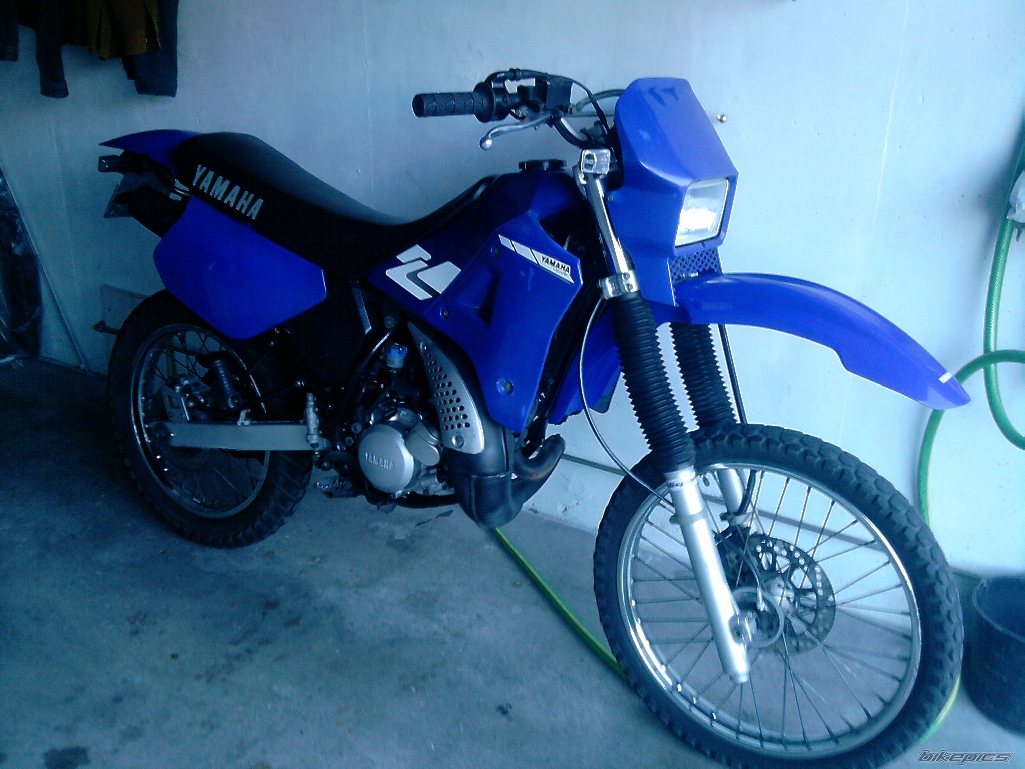 Photo 1950042