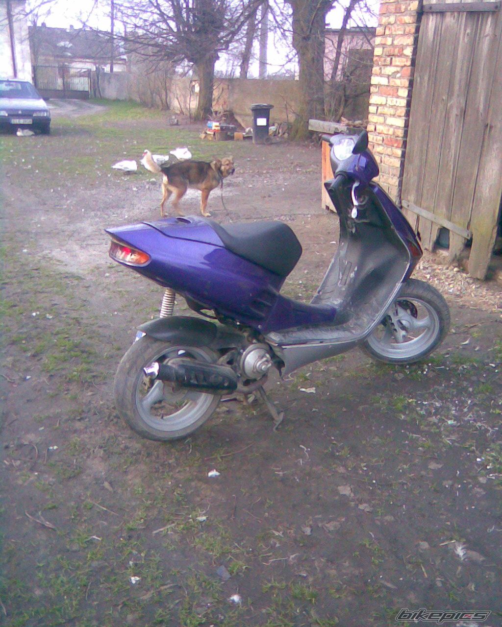 Photo 1950397