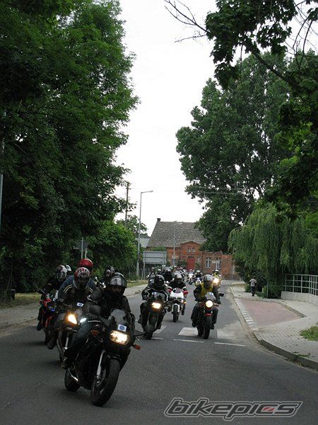 Photo 1950792