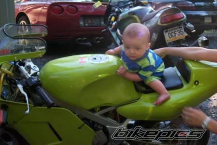 Photo 19509
