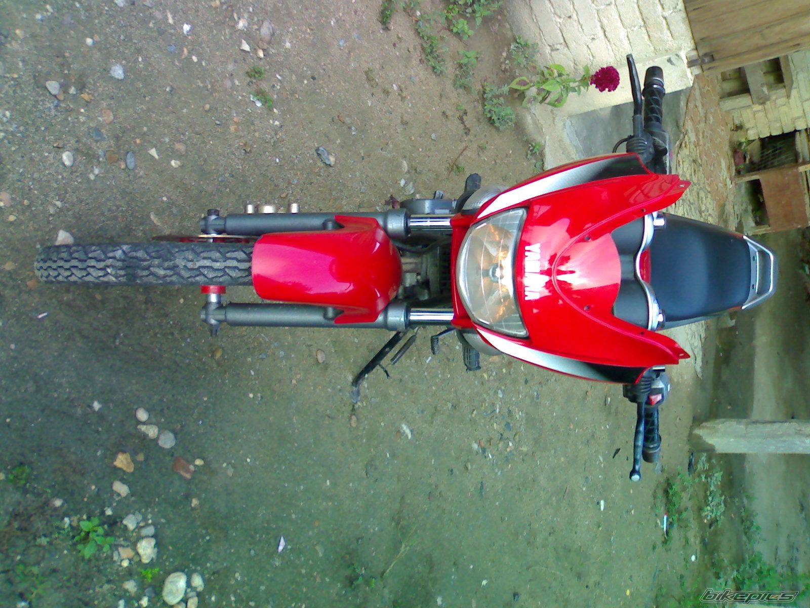 Photo 1951015