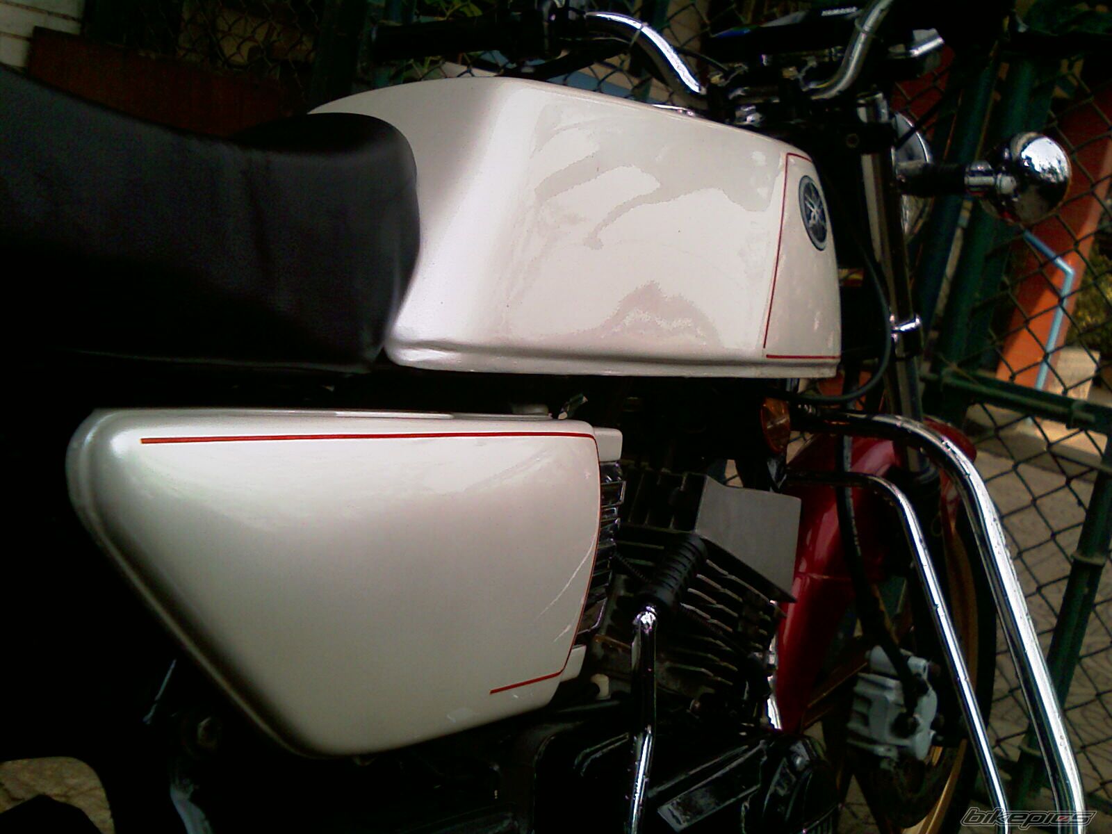 Photo 1951078