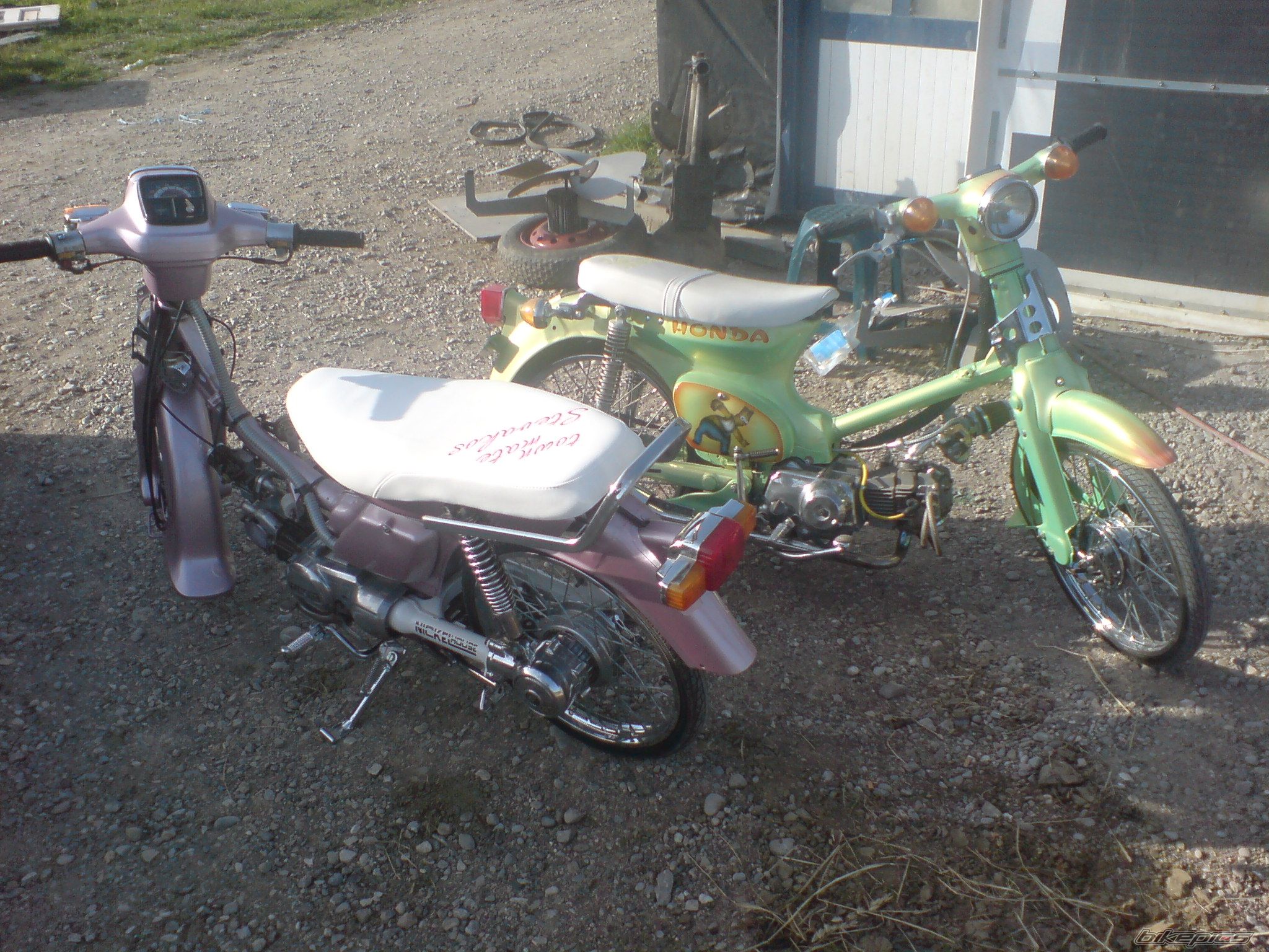 Photo 1951081