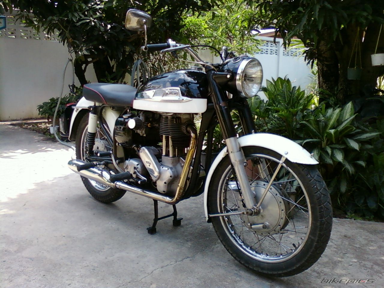 Bike Photo 1951112