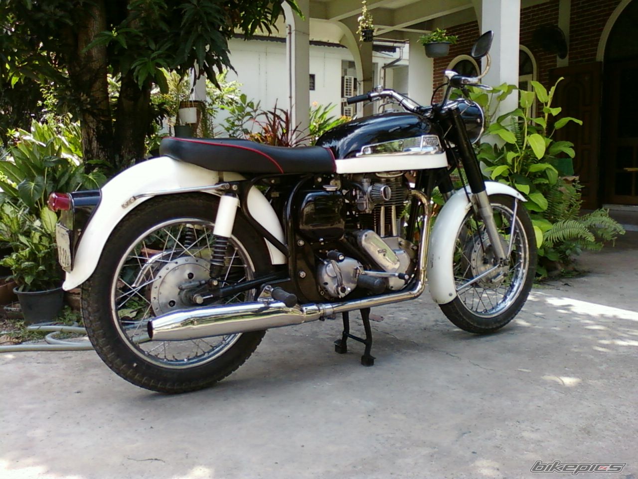 Photo 1951114