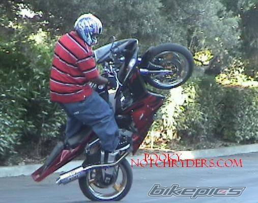 Photo 195121