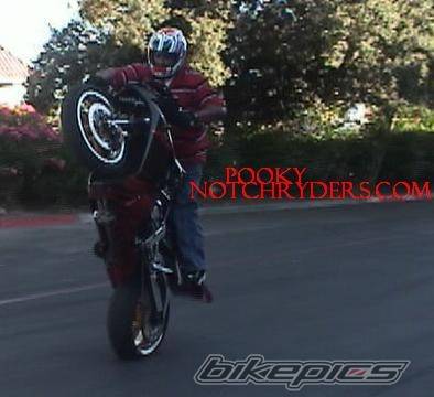 Photo 195122