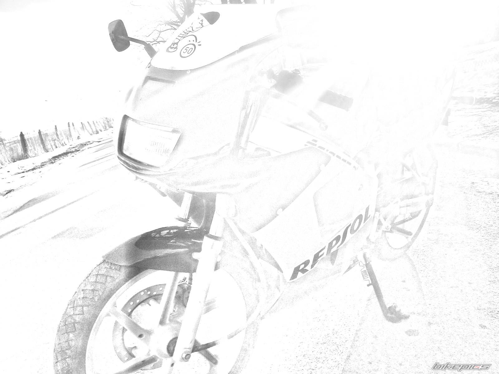 Photo 1951223