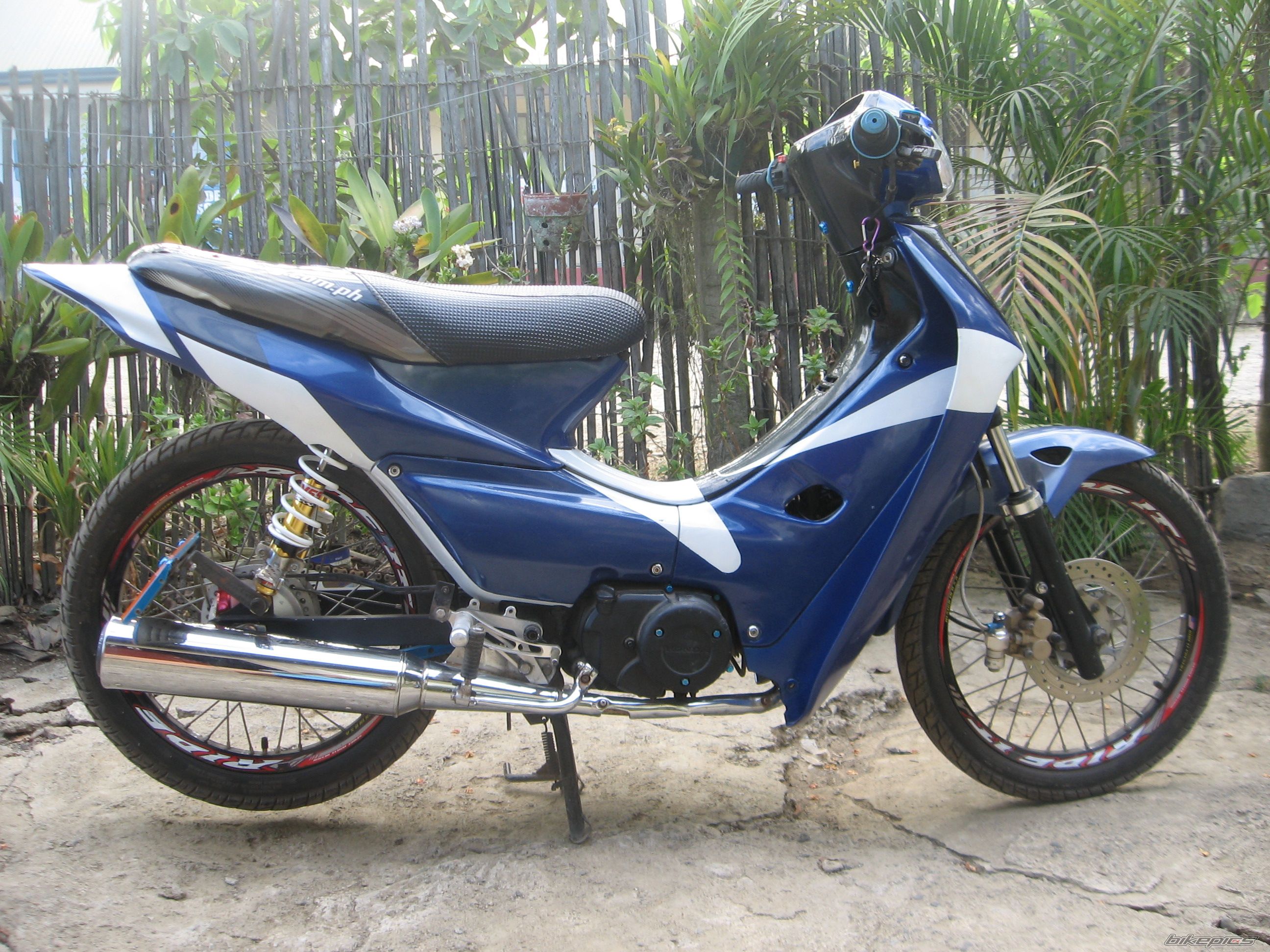 Photo 1951241