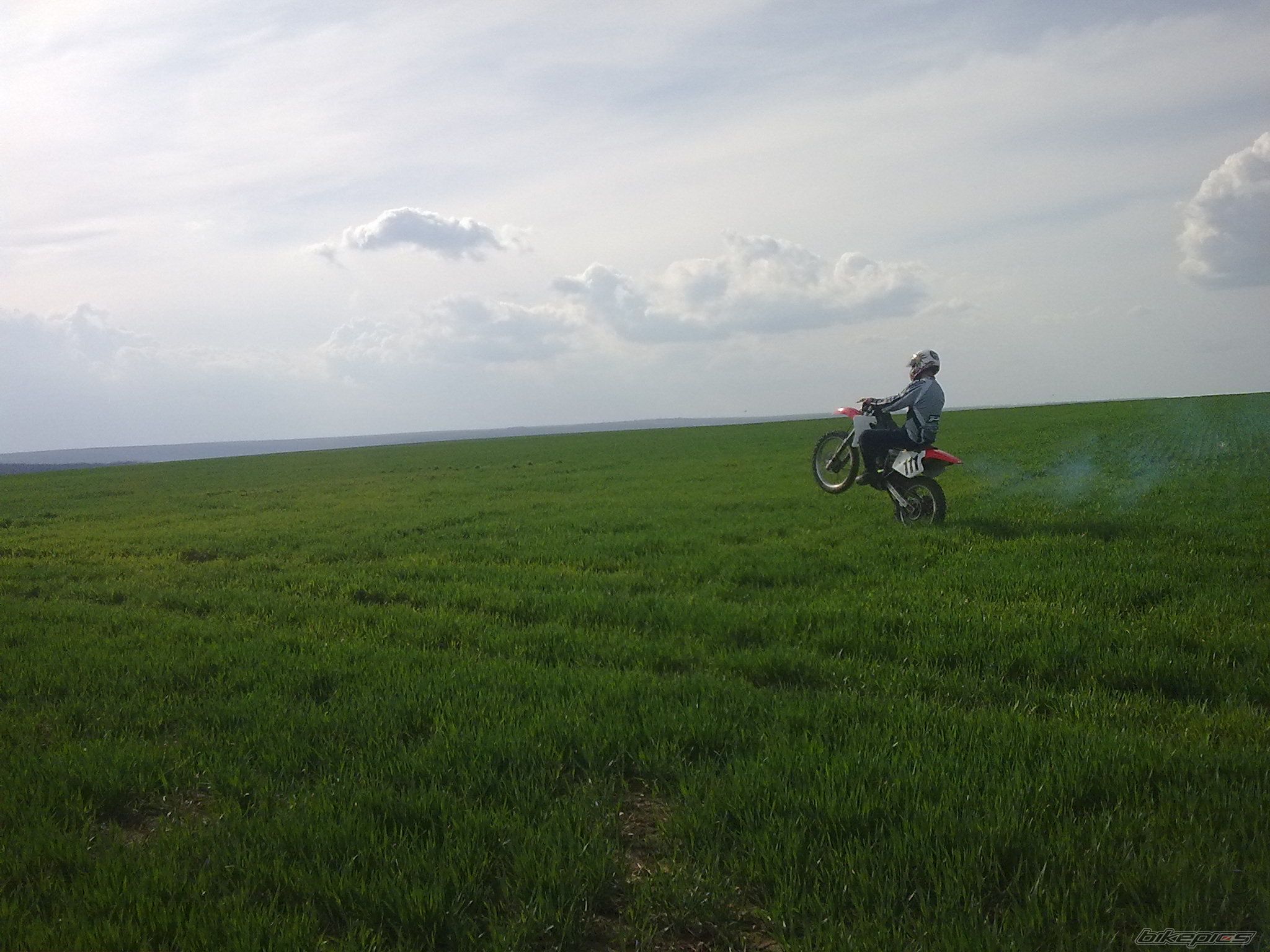 Photo 1951355
