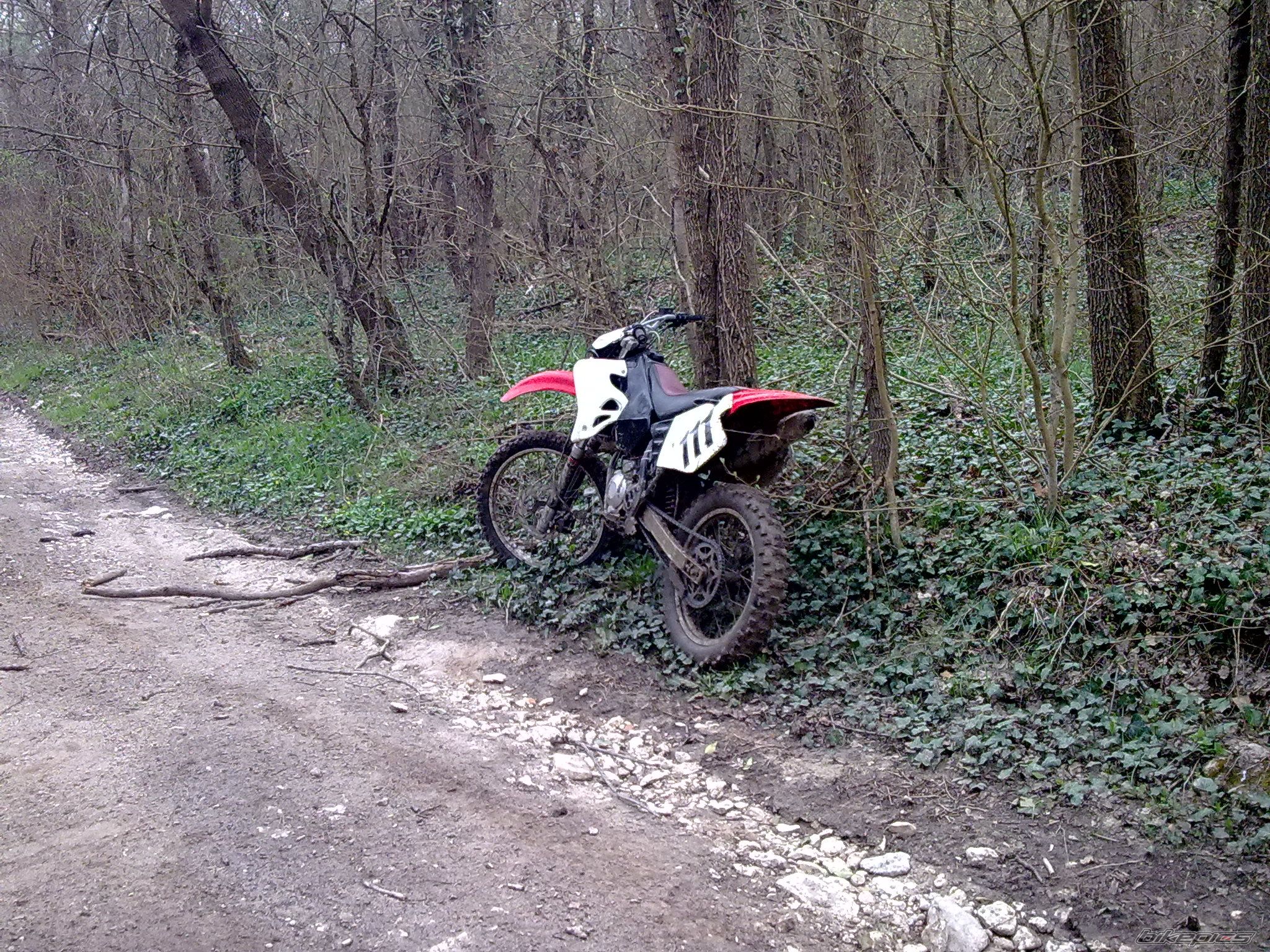 Photo 1951362