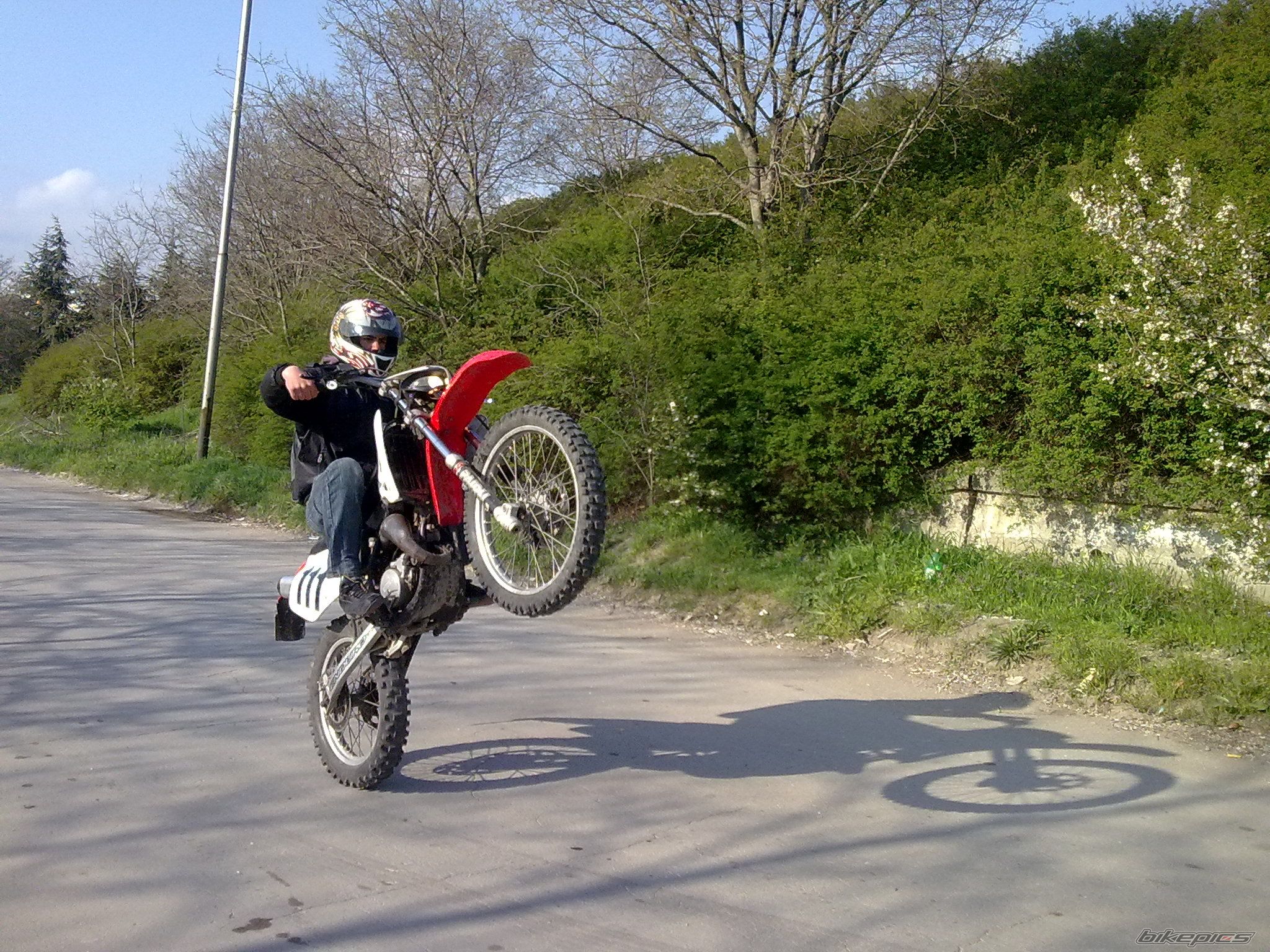 Photo 1951372