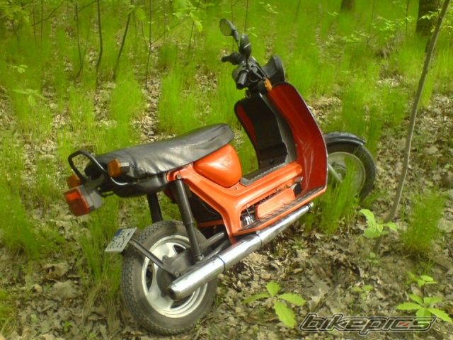 Bike Photo 1951382
