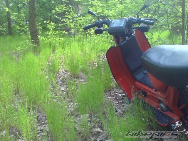 Bike Photo 1951388