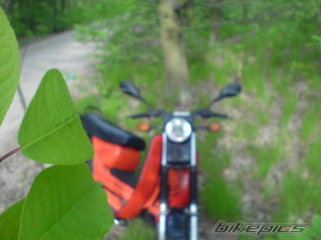 Bike Photo 1951390
