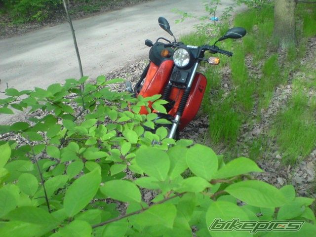 Bike Photo 1951394