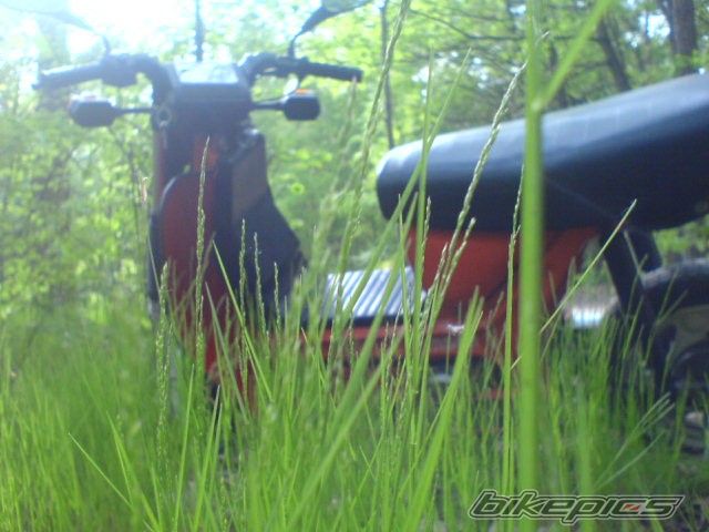 Bike Photo 1951398