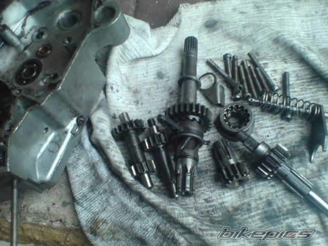 Photo 1951424