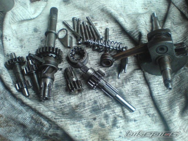 Photo 1951425