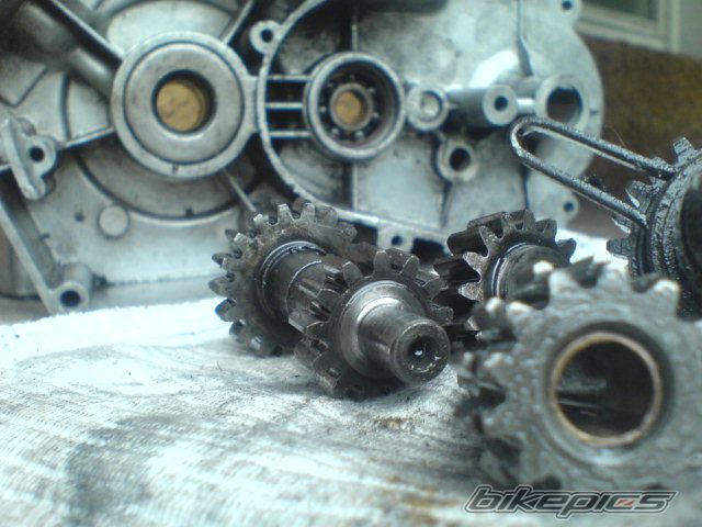 Photo 1951426