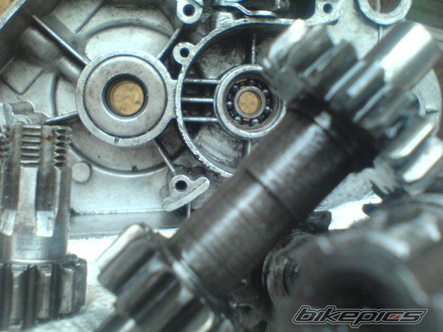 Photo 1951427