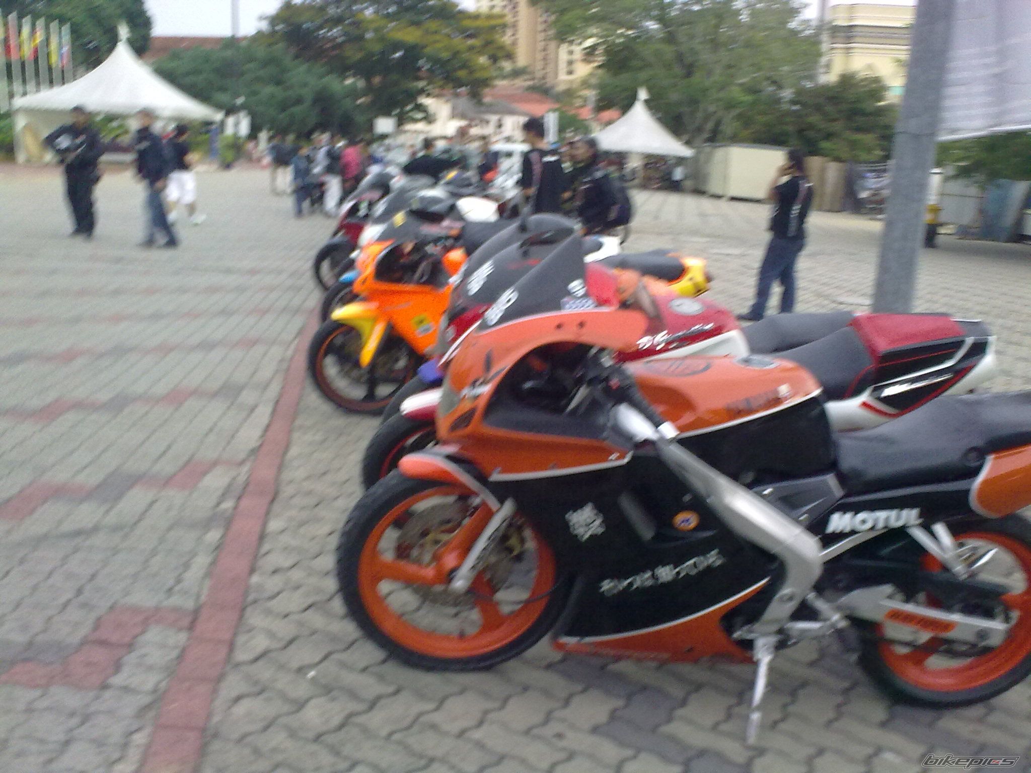 Photo 1951439