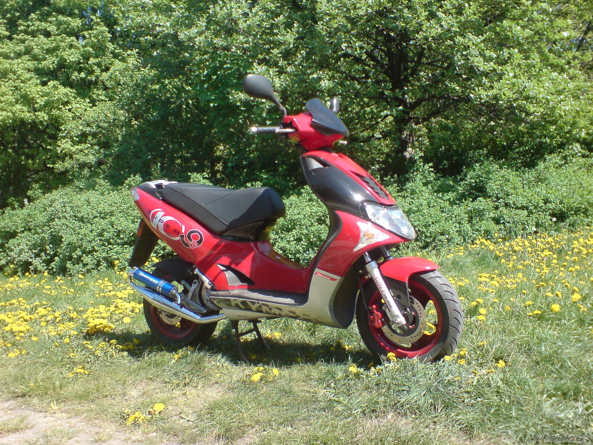 Photo 1951645