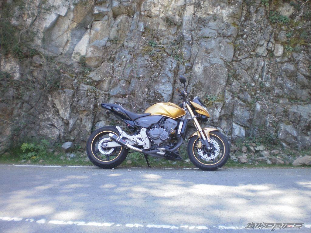 Photo 1951847