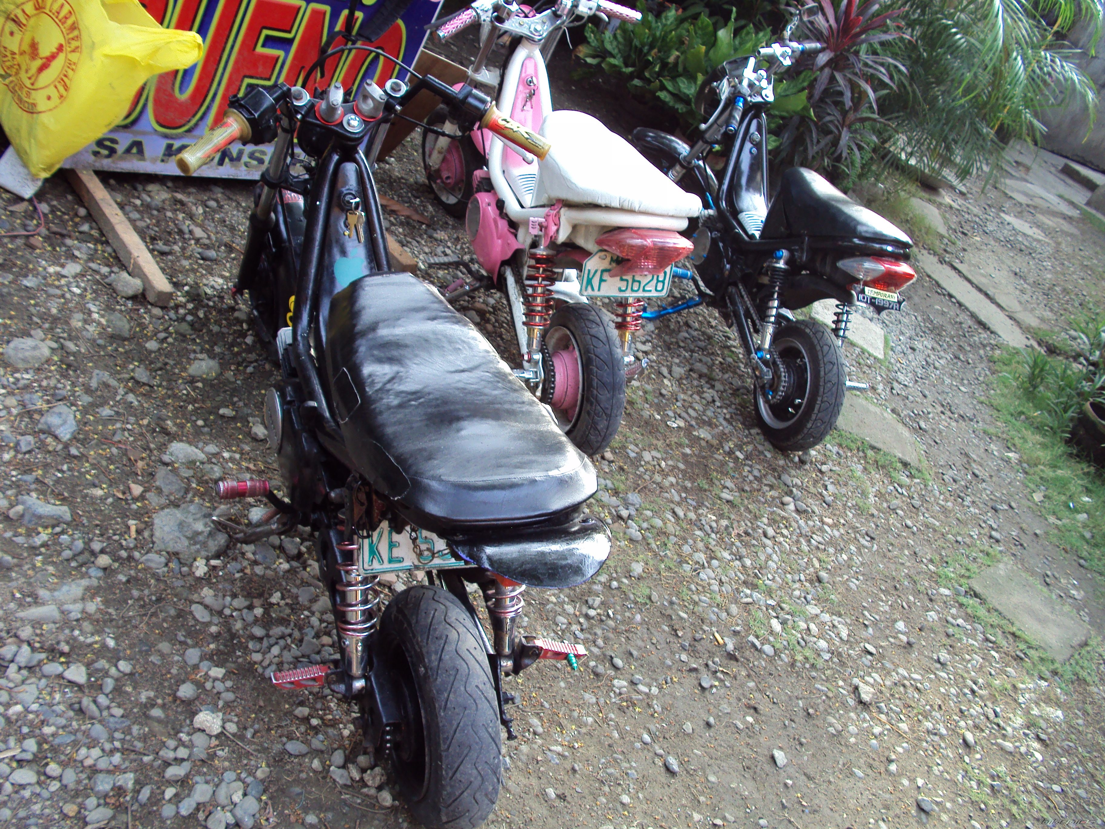Photo 1951881
