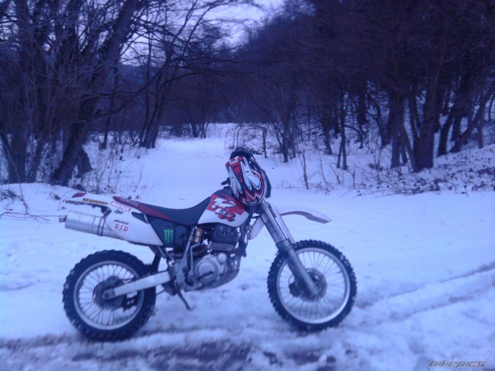 Photo 1952088