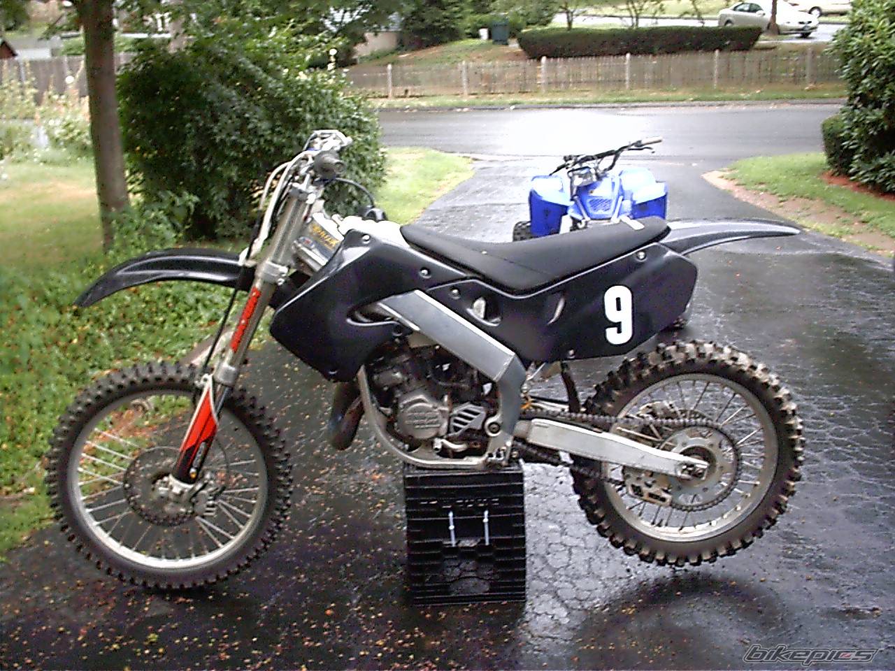 Photo 195212