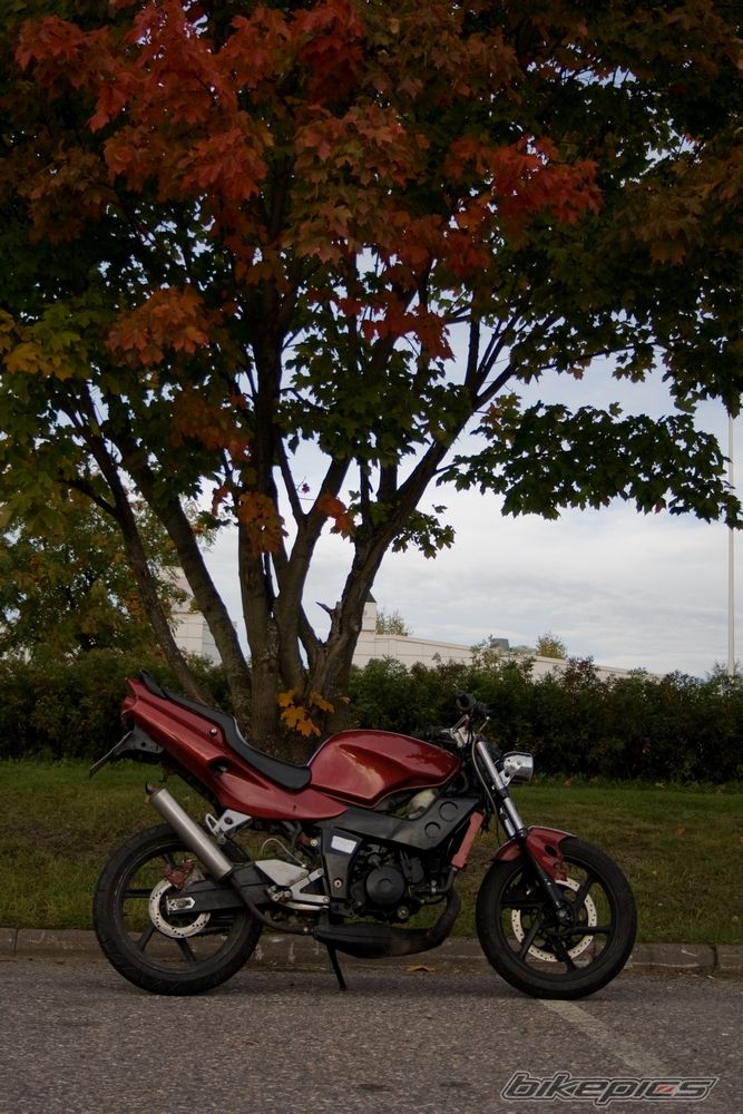 Photo 1952151