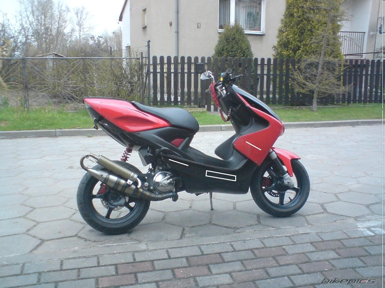 Photo 1952270