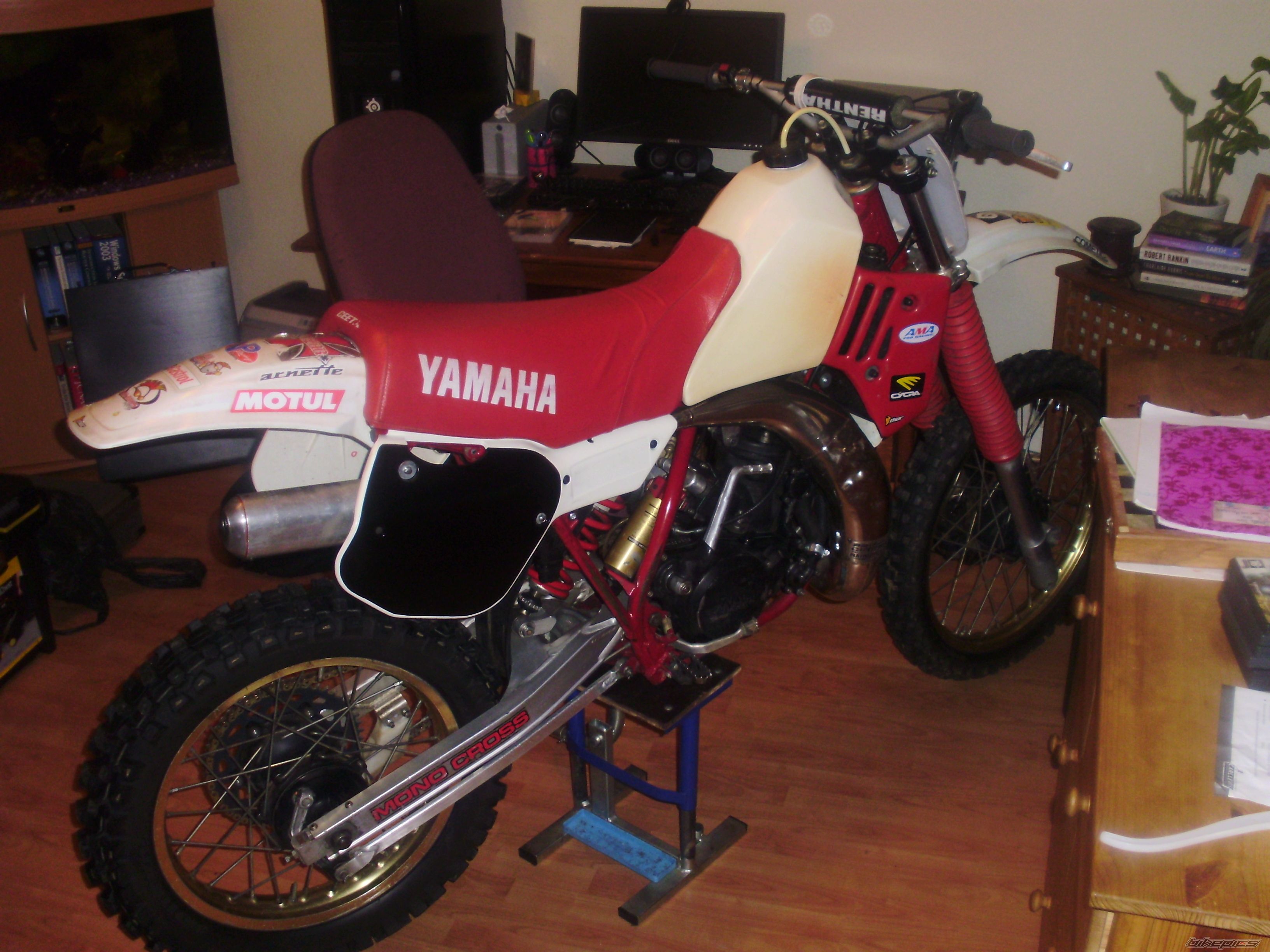 Photo 1952331