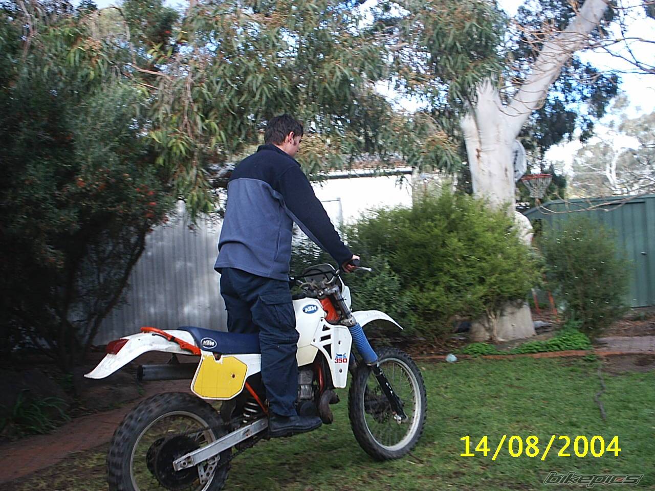 Photo 195234