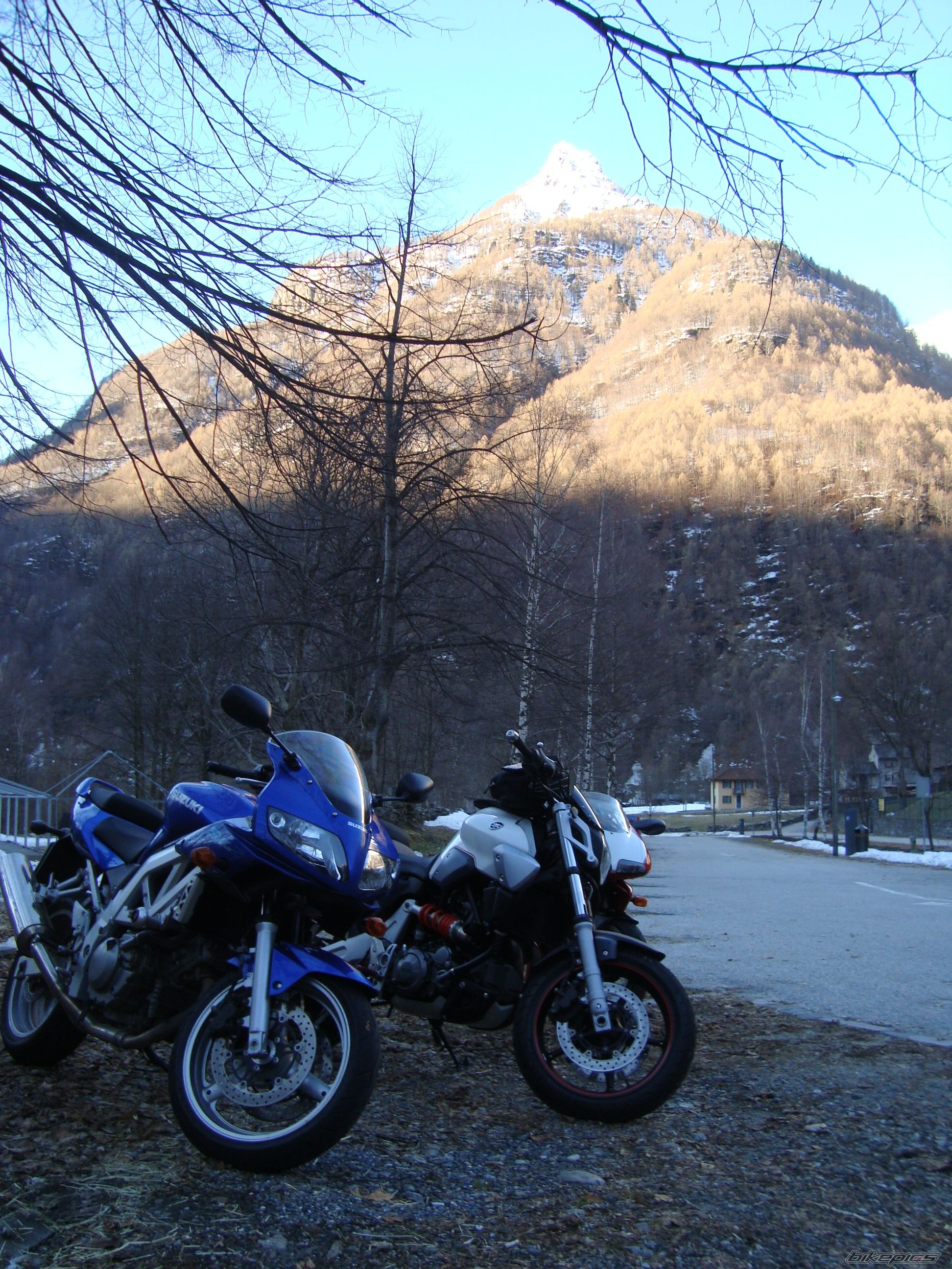 Photo 1952349